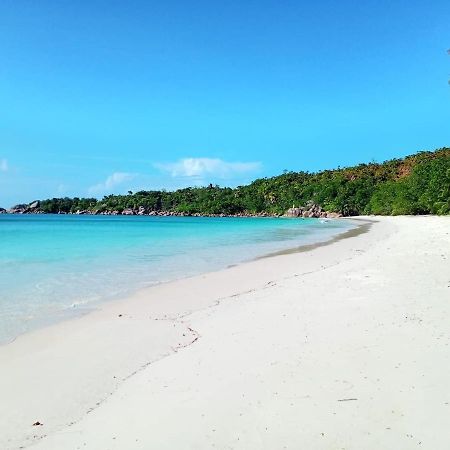 Le Chevalier Bay Guesthouse Anse Lazio Eksteriør billede